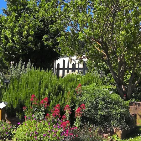 Apartment La Maison Lourego-hortensia *